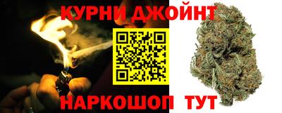 индика Пенза
