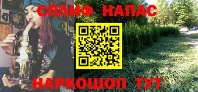 индика Пенза