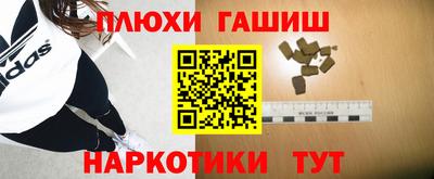 индика Пенза