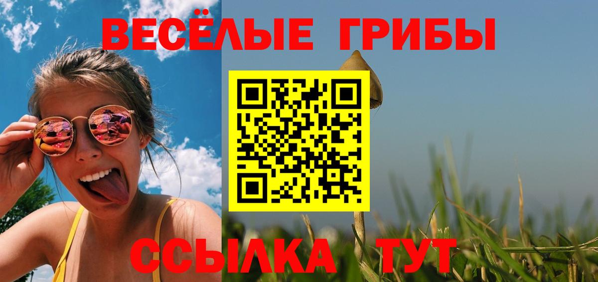 Галлюциногенные грибы прущие грибы  Галлюциногенные грибы Psilocybine cubensis  Тимашёвск  Вход с VPN 
