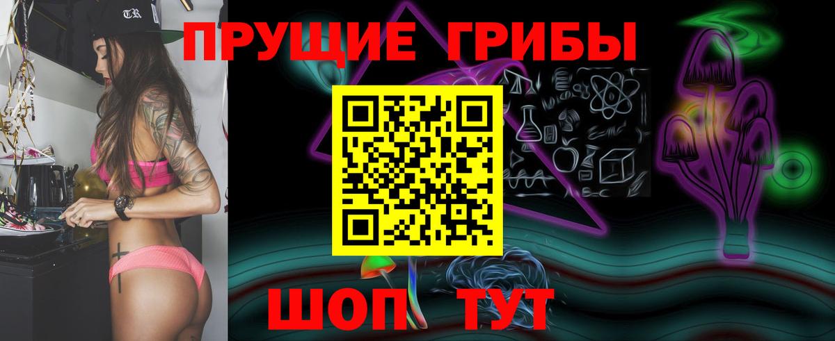 Псилоцибиновые грибы Psilocybe Тимашёвск